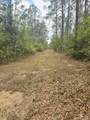 0 Tom Shivers Rd - Photo 4