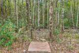 1363 Water Oaks Trl - Photo 46