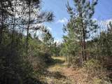 Lot A1 Snider Rd - Photo 2