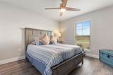 6235 Benelli Dr - Photo 28