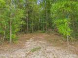 14 acres Hwy 4 - Photo 15