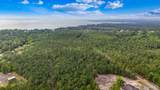  Pandora Dr - Photo 31