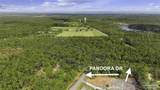  Pandora Dr - Photo 7