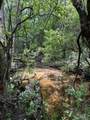 3600 Hwy 182 - Photo 16