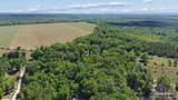 1.72 Acres Sid Hayes Rd - Photo 4