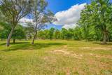 5049 Southern Paradise Ln - Photo 51