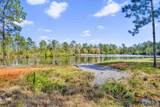 4 Red Feather Dr - Photo 10