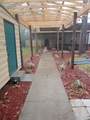 4874 Seely Rd - Photo 9