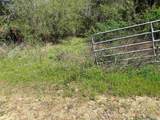 001 Hwy 399 - Photo 10