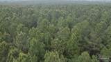 11000 Block Hwy 59 - Photo 12