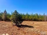 Lots 23 to 27 Mineral Springs Rd - Photo 20