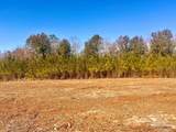Lots 23 to 27 Mineral Springs Rd - Photo 24