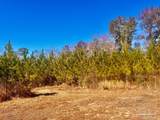 Lots 23 to 27 Mineral Springs Rd - Photo 30