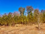 Lots 23 to 27 Mineral Springs Rd - Photo 31