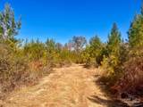 Lots 23 to 27 Mineral Springs Rd - Photo 40