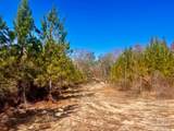 Lots 23 to 27 Mineral Springs Rd - Photo 41