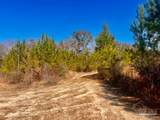 Lots 23 to 27 Mineral Springs Rd - Photo 42