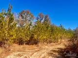 Lots 23 to 27 Mineral Springs Rd - Photo 44