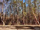 Lots 23 to 27 Mineral Springs Rd - Photo 46