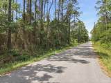 Lot 14 Dickerson Ave - Photo 13