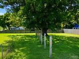 1700 Cypress St - Photo 3