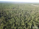85+/- acres Wiley Scott Rd - Photo 8