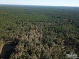 85+/- acres Wiley Scott Rd - Photo 9