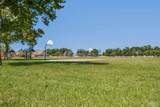 116 Mt Pilot St - Photo 66