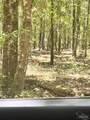  Colts Crossing Ln - Photo 2