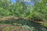 8271 Mobile Hwy - Photo 11