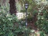 4756 Ward Basin Rd - Photo 60