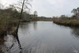609 Dog Track Rd - Photo 7