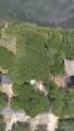 10290 Lake Rd - Photo 45