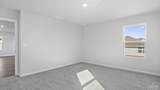 5852 Tripletail Dr - Photo 18