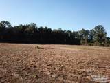 5 acres Ard Field Rd - Photo 3