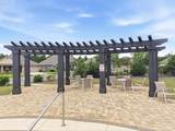 3545 Whitetail Ln - Photo 67