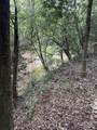 0100 Mineral Springs Rd - Photo 15