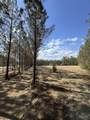 Lot 53 Sage Forest Ln - Photo 3