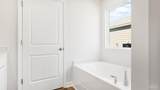 5868 Tripletail Dr - Photo 16