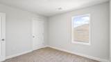 5851 Tripletail Dr - Photo 23