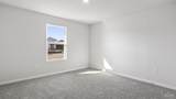 5855 Tripletail Dr - Photo 10