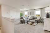 2260 Kildeer St - Photo 19