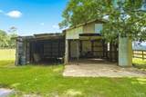 3048 Rainbow Ln - Photo 41
