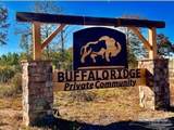 Lot 23 Buffalo Ridge Rd - Photo 12