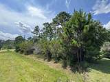 6548 Lansford St - Photo 4