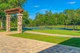 8941 Foxtail Loop - Photo 53