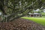 2125 Morningside Dr - Photo 65