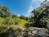 4195 Whippoorwill Dr - Photo 13