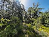4195 Whippoorwill Dr - Photo 16