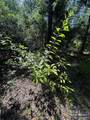 4195 Whippoorwill Dr - Photo 22